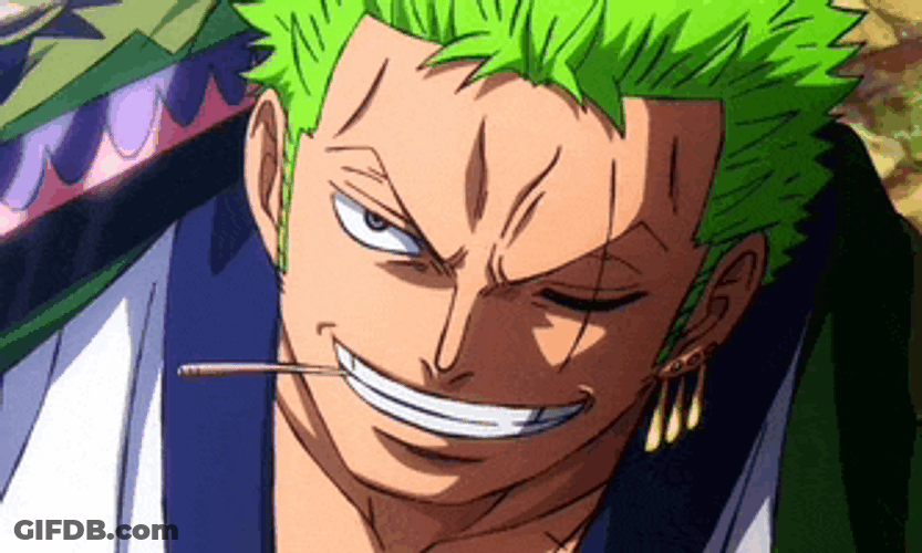 Zoro Ubejd Meme GIF