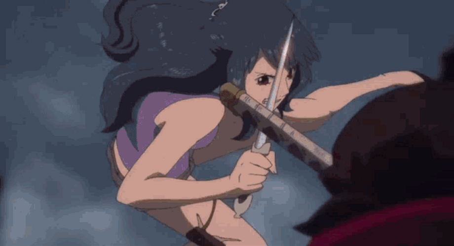 Zoro Vs Ain Final Battle GIF