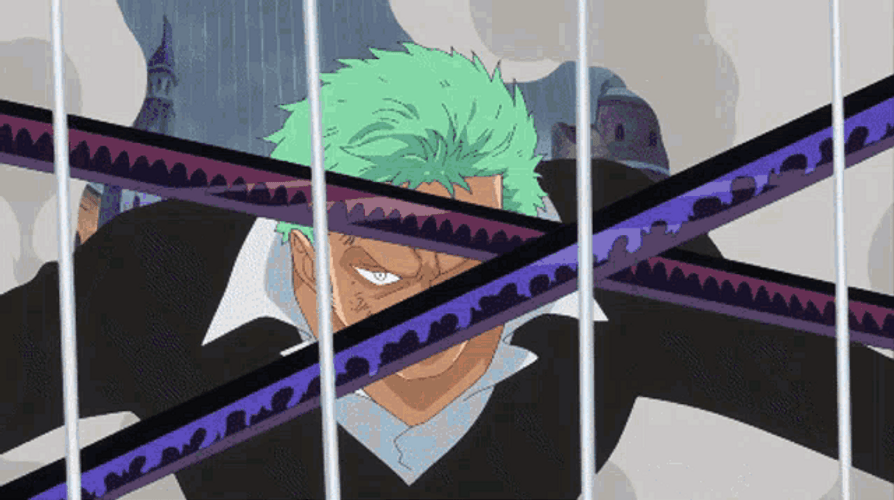 Zoro Vs Doflamingo Birdcage GIF