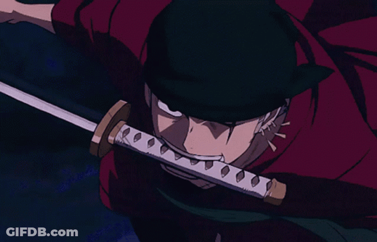 Zoro Vs King Master Swordsman GIF