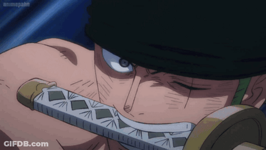 Zoro Vs King What Reaction GIF