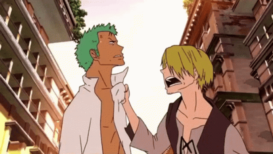 Zoro Vs Sanji Fight GIF