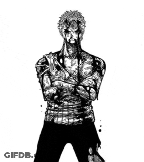 Zoro56 Zoro99 Meme GIF