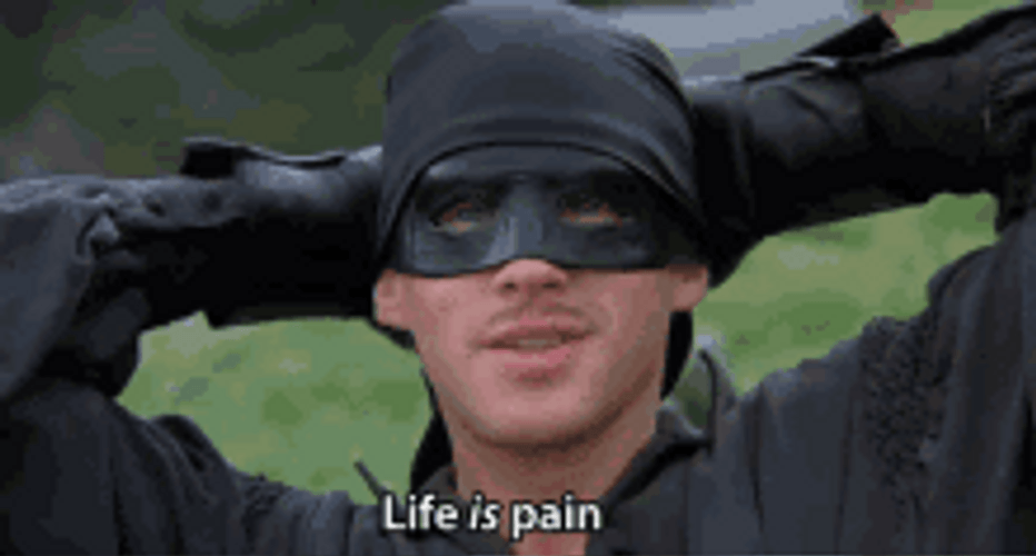 Zorro Life Is Pain GIF