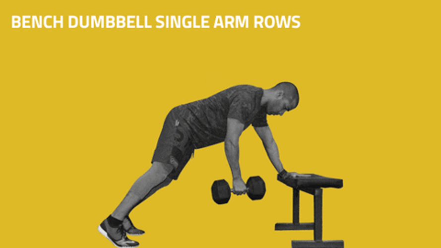 Zottman Curl Bench Dumbbell Single Arm Row GIF