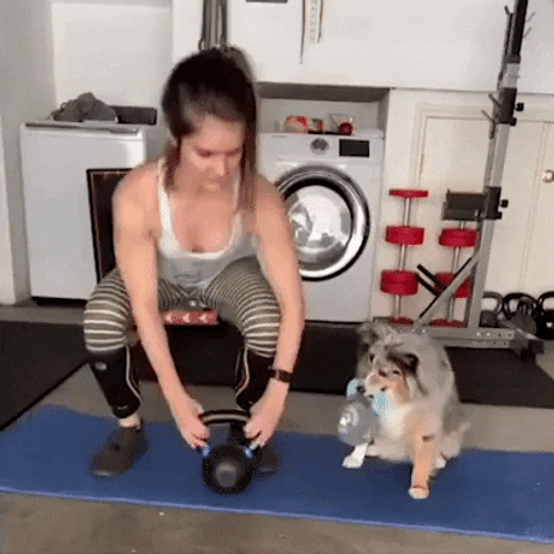 Zottman Curl Dog Human Tandem Exercise GIF