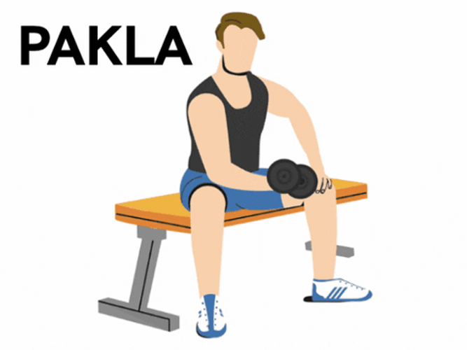 Zottman Curl Seated Bicep Curl Dumbbell Work Out GIF