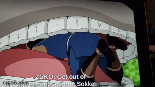 Zuko Get Out Of The Bison 'S Mouth Sokka Says In A Cartoon GIF