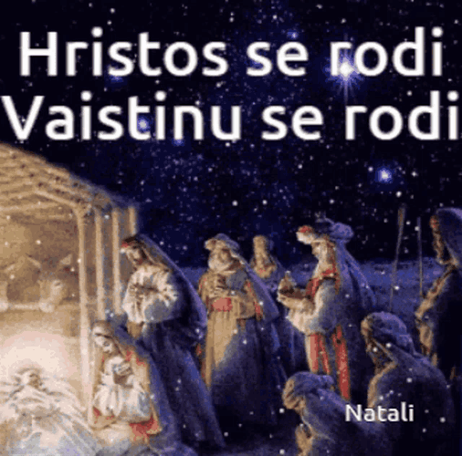 Zvrcka GIF
