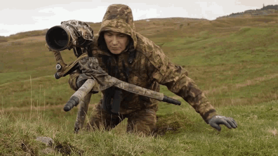 Zz Pd Zd06vj M Ready To Watch GIF