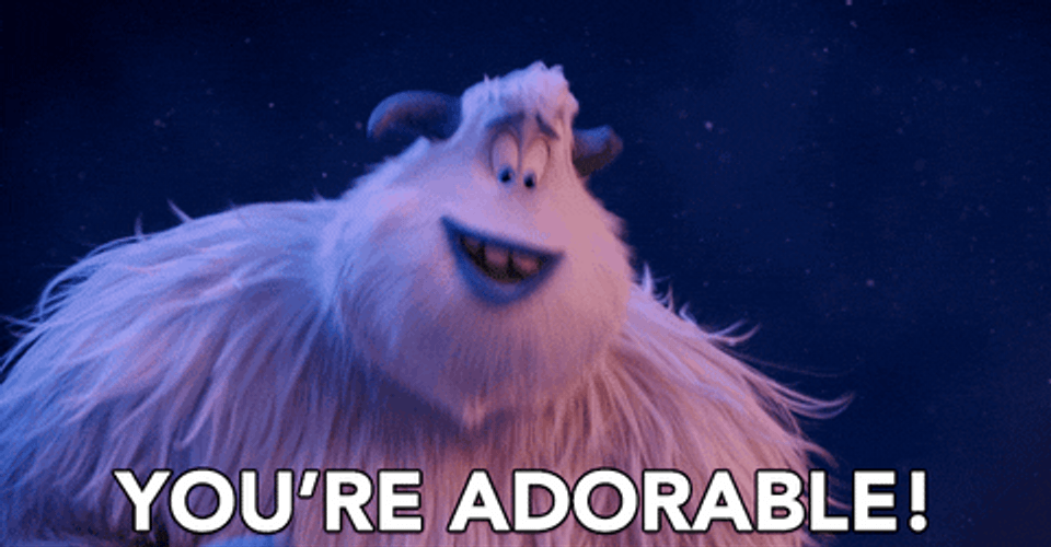 Adorable GIFs