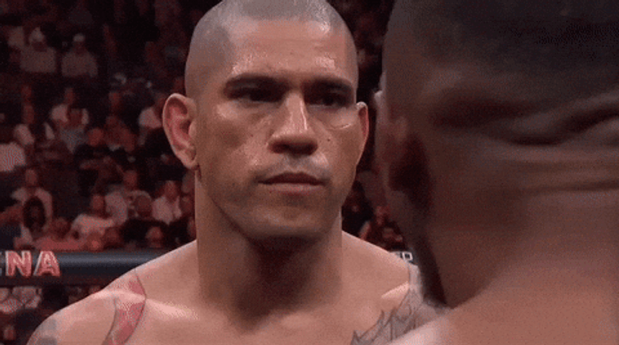 Alex Pereira GIFs