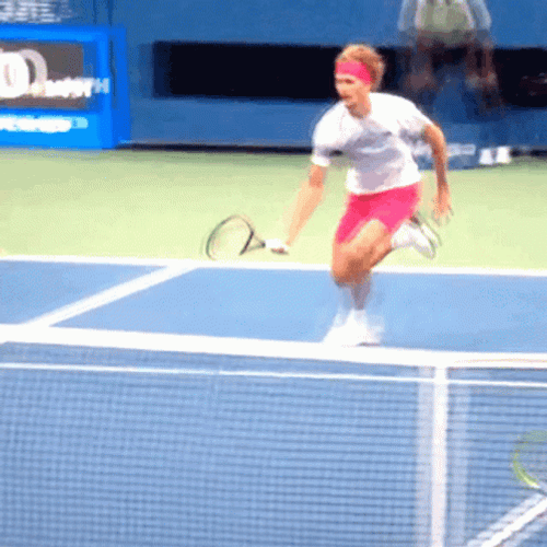 Alexander Zverev GIFs