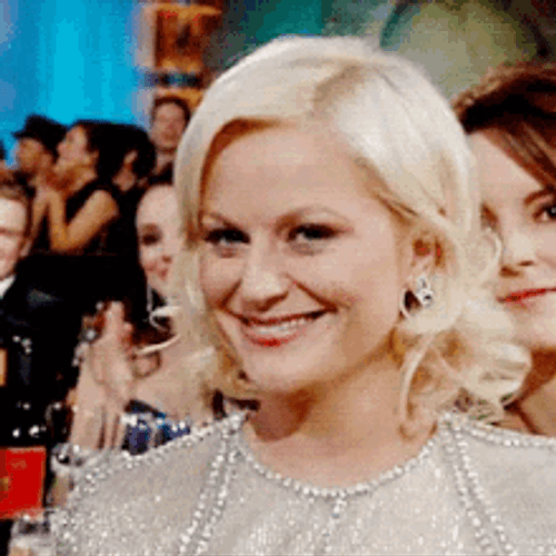 Amy Poehler GIFs
