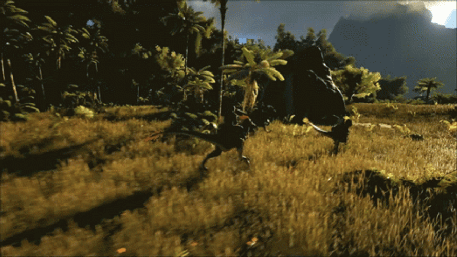 Ark GIFs