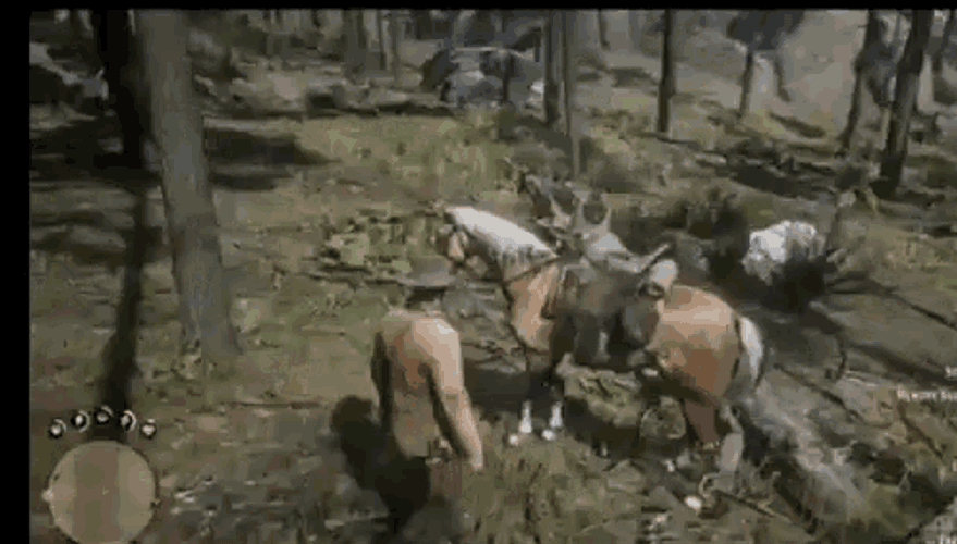 Beat A Dead Horse GIFs
