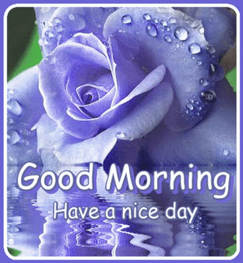 Beautiful Cute Good Morning GIFs