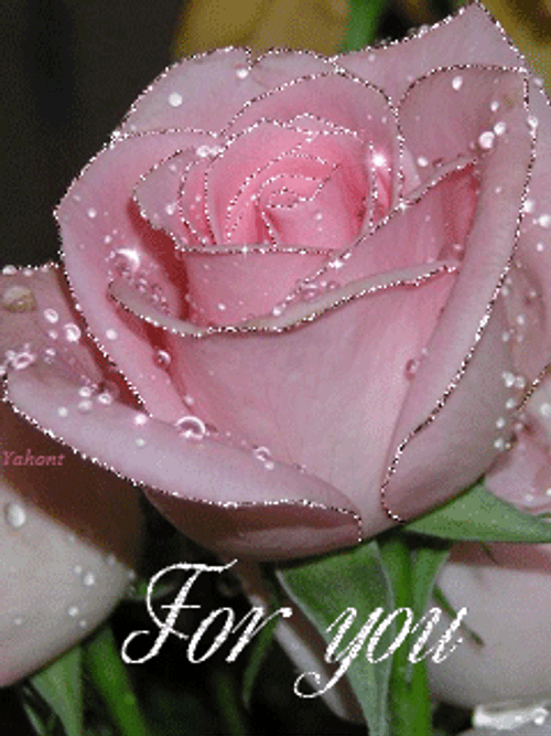 Beautiful Flowers GIFs