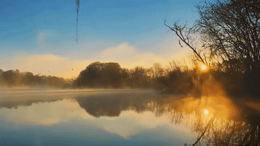 Beautiful Morning GIFs