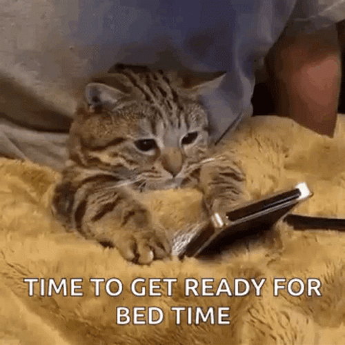Bedtime GIFs