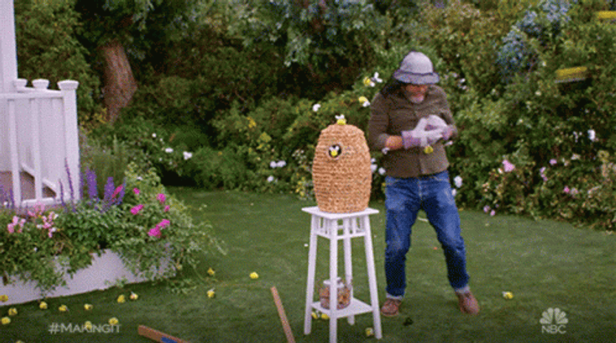 Bee Sting GIFs