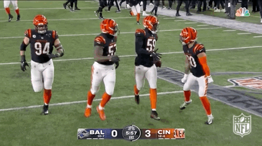 Bengals GIFs