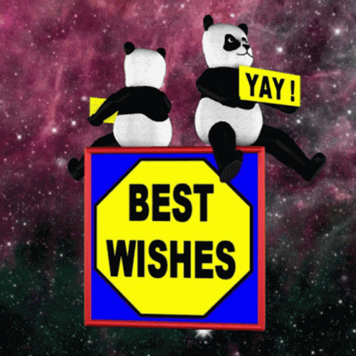 Best Wishes GIFs