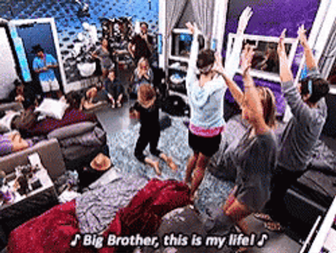 Big Brother Again GIFs