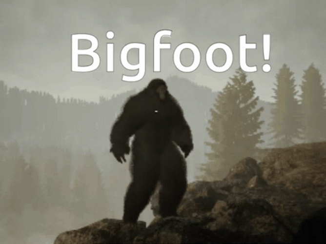 Big Foot GIFs