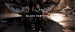 Black Panther GIFs