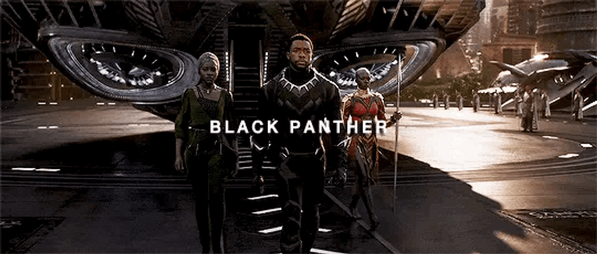 Black Panther GIFs