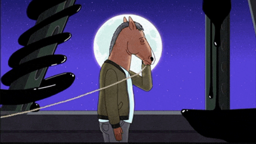 Bojack Horseman GIFs