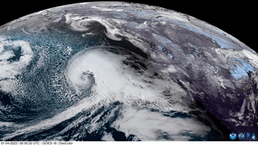 Bomb Cyclone GIFs