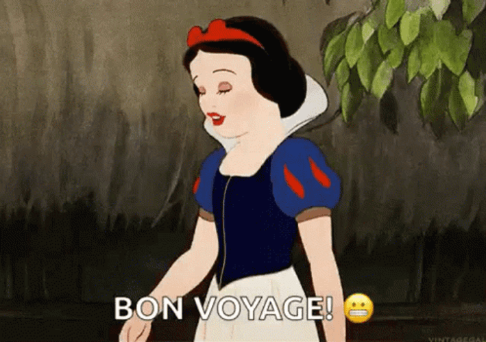 Bon Voyage GIFs
