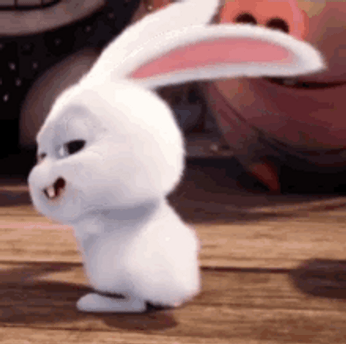 Bunny GIFs
