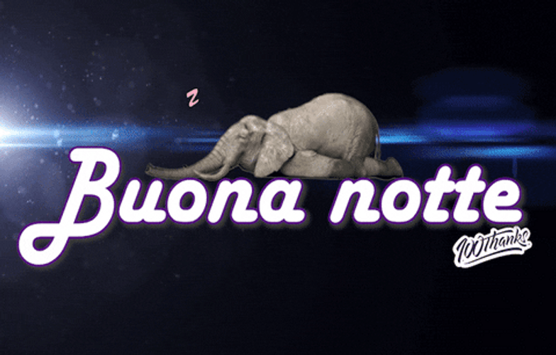 Buonanotte GIFs