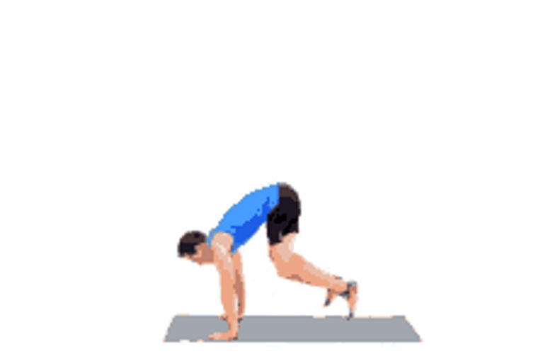 Burpee GIFs