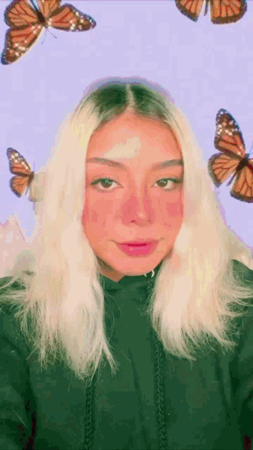 Butterfly Aesthetic GIFs