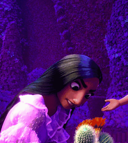 Cactus GIFs