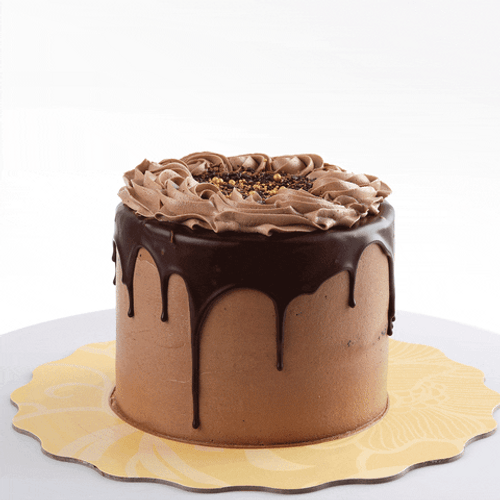 Cake GIFs