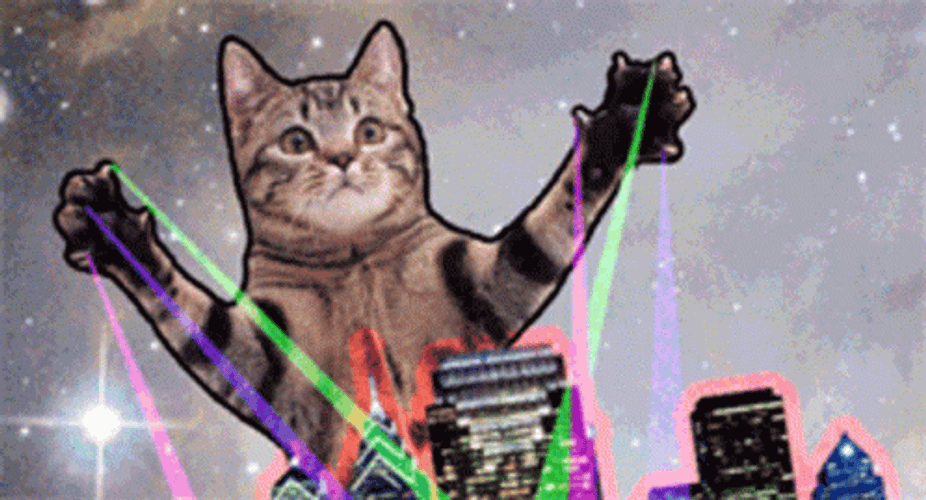 Cat Party GIFs