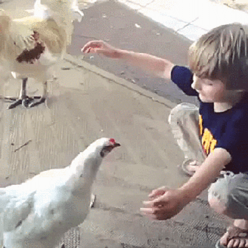 Come Here GIFs