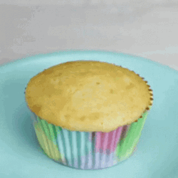 Cupcake GIFs