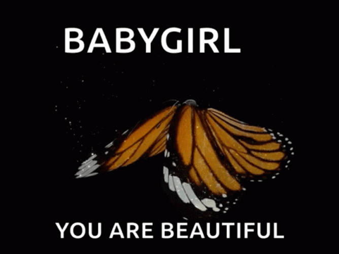 Cute Butterfly GIFs