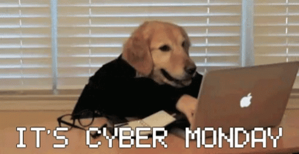 Cyber Monday GIFs