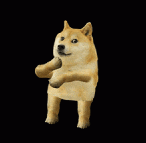 Dancing Dog GIFs