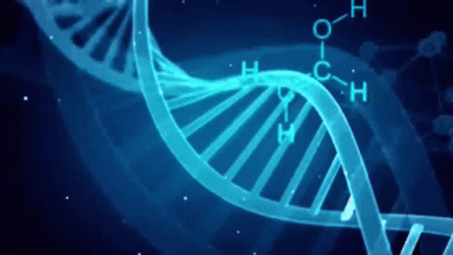 Dna GIFs