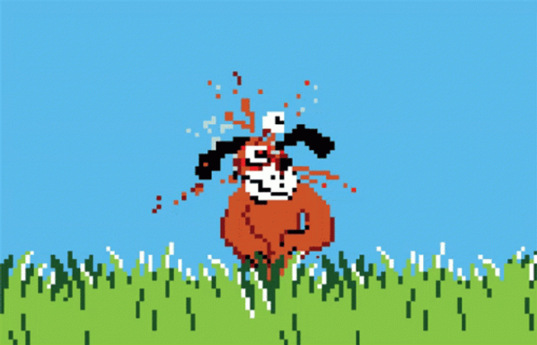Duck Hunt GIFs