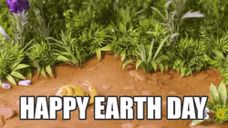 Earth Day GIFs