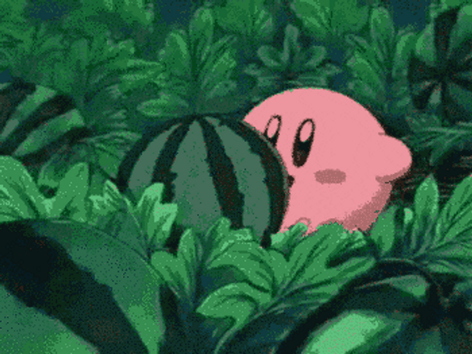 Eating Watermelon GIFs